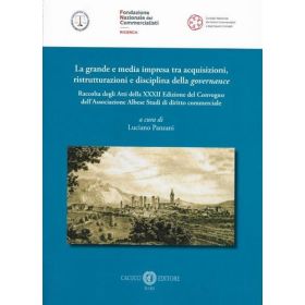 LA GRANDE E MEDIA IMPRESA TRA ACQUISIZIONI, RISTRUTTURAZIONI E DISCIPLINA DELLA GOVERNANCE di PANZANI LUCIANO