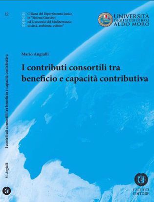 Immagine di 10 - I contributi consortili tra beneficio e capacità contributiva