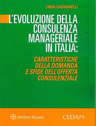 Immagine di L'evoluzione della consulenza manageriale in Italia: caratteristiche della domanda e sfide dell'offerta consulenziale.