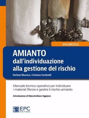 Immagine di Amianto: dall'individuazione alla gestione del rischio. Manuale tecnico operativo per individuare i materiali fibrosi e gestire il rischio amianto