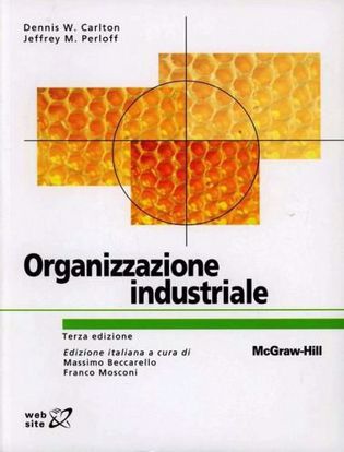 Immagine di Organizzazione industriale