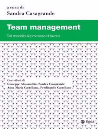 Immagine di Team management. Dal modello al processo di lavoro