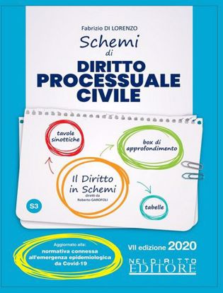 Immagine di Schemi di diritto processuale civile