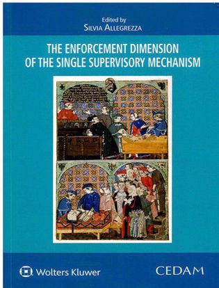 Immagine di The enforcement dimension of single the supervisory mechanism.