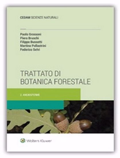 Immagine di Trattato di botanica forestale. Vol. 2: Angiosperme