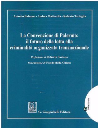 Immagine di La Convenzione di Palermo: il futuro della lotta alla criminalità organizzata transnazionale