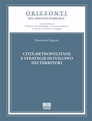 Immagine di Città metropolitane e strategie di sviluppo dei territori