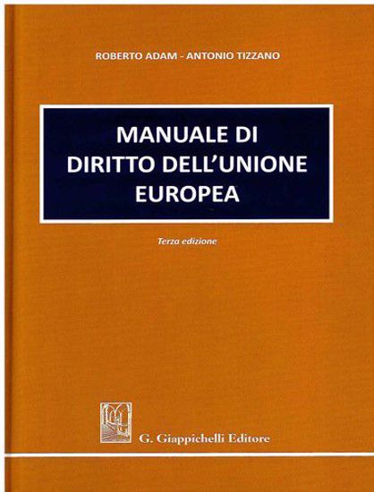 Immagine di Manuale di diritto dell'Unione Europea