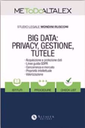 Immagine di Big data: privacy; gestione; tutele