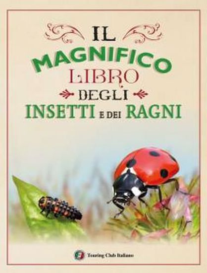 Immagine di Il magnifico libro degli insetti e dei ragni. Ediz. a colori