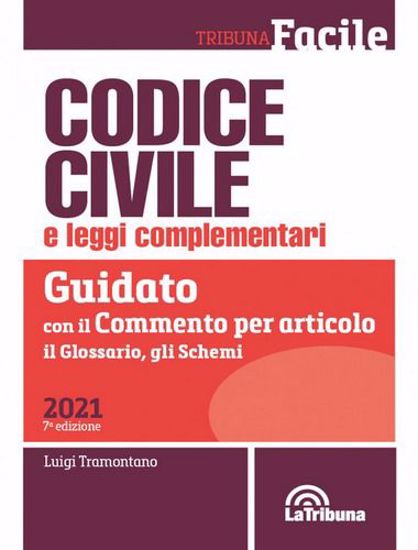 Immagine di Codice civile e leggi complementari. Guidato con il commento per articolo, il glossario, gli schemi