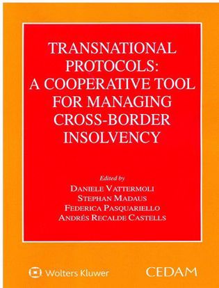 Immagine di Transnational protocols: a cooperative tool for managing cross-border insolvency