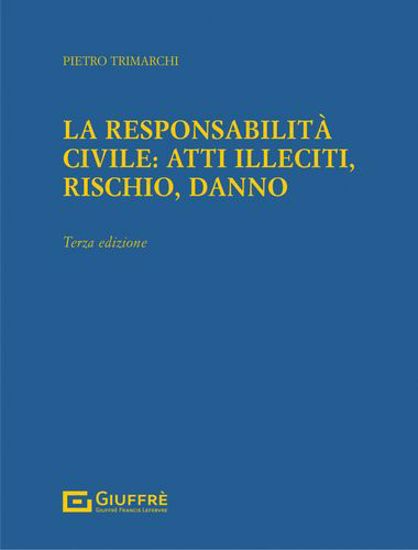 Immagine di Responsabilità Civile: Atti Illeciti, Rischio, Danno