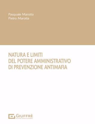 Immagine di Natura e limiti del potere amministrativo di prevenzione antimafia