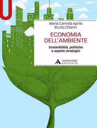 Immagine di Economia dell'ambiente. Sostenibilità, politiche e aspetti strategici