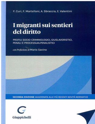 Immagine di I migranti sui sentieri del diritto. Profili socio-criminologici, giuslavoristici, penali e processualpenalistici