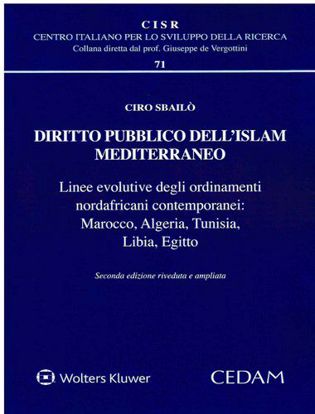 Immagine di Diritto pubblico dell'Islam mediterraneo. Linea evolutive degli ordinamenti nordafricani contemporanei: Marocco, Algeria, Tunisia, Libia, Egitto