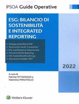 Immagine di ESG: bilancio di sostenibilità e integrated reporting