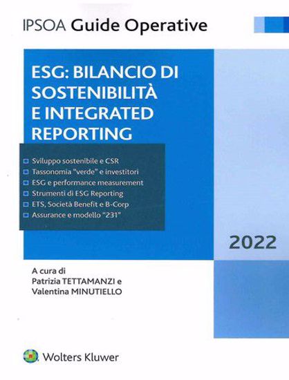 Immagine di ESG: bilancio di sostenibilità e integrated reporting