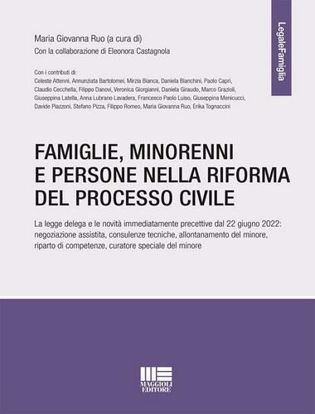 Immagine di Famiglie, minorenni e persone nella riforma del processo civile