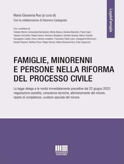 Immagine di Famiglie, minorenni e persone nella riforma del processo civile