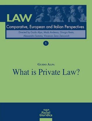 Immagine di What is private law?