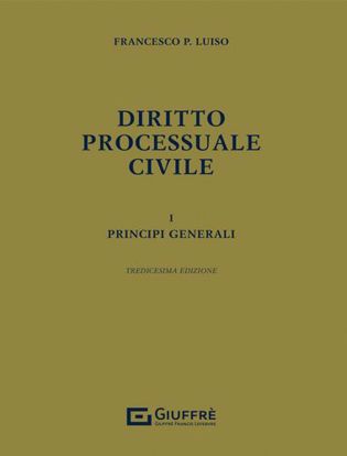Immagine di Diritto processuale civile vol.1
Principi generali