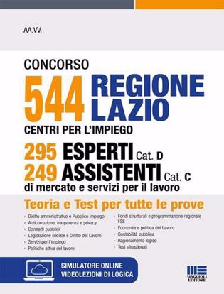 Immagine di Concorso 544 Regione Lazio Centri per l'impiego 295 esperti Cat. D 249 assistenti Cat. C di mercato e servizi per il lavoro. Con espansione online