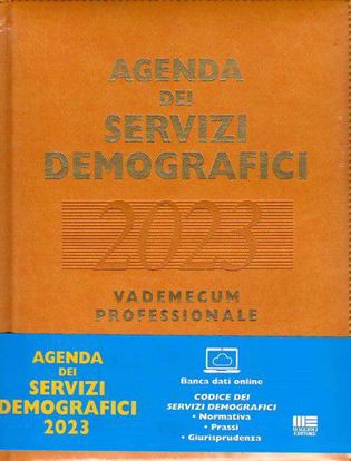 Immagine di Agenda dei servizi demografici 2023. Vademecum professionale