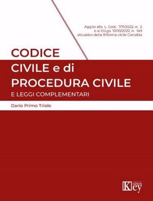 Immagine di Codice civile e di procedura civile e leggi complementari Dicembre 2022