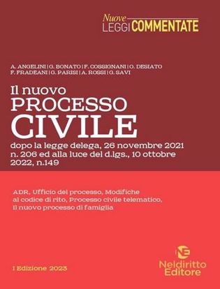 Immagine di Il nuovo processo civile, alla luce del d.lgs. 10 ottobre 2022, n. 149