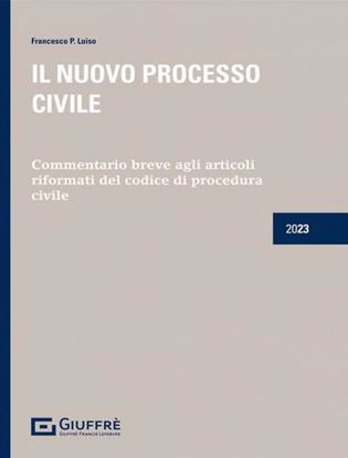 Immagine di Il nuovo processo civile