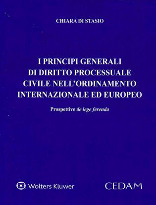 Immagine di Principi generali di diritto processuale civile nell'ordinamento internazionale ed europeo
