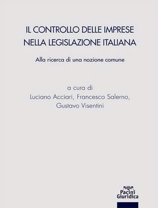 Immagine di Il controllo delle imprese nella legislazione italiana
Alla ricerca di una nozione comune