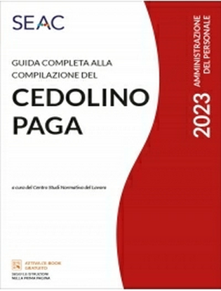 Immagine di GUIDA COMPLETA ALLA COMPILAZIONE DEL CEDOLINO PAGA 2023