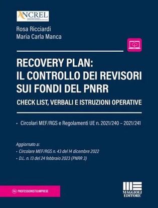 Immagine di Recovery plan: il controllo dei revisori sui fondi del PNRR