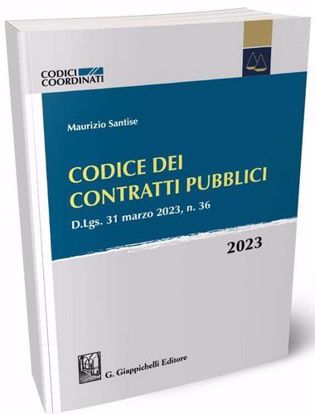Immagine di Codice dei contratti pubblici 2023