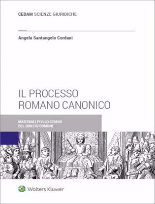 Immagine di Il processo romano canonico