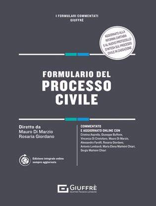 Immagine di Formulario del processo civile. Con aggiornamento online