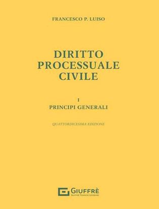 Immagine di Diritto Processuale Civile Vol.1 - Principi Generali -