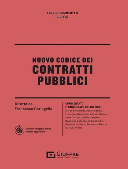 Immagine di Codice dei contratti pubblici