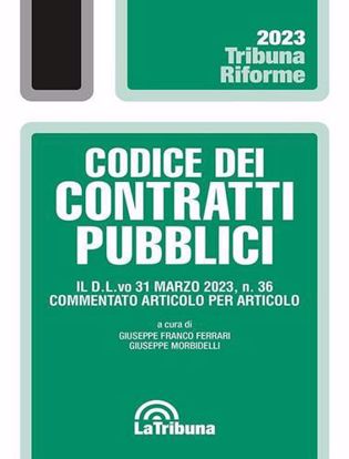 Immagine di Codice dei contratti pubblici Novembre 2023