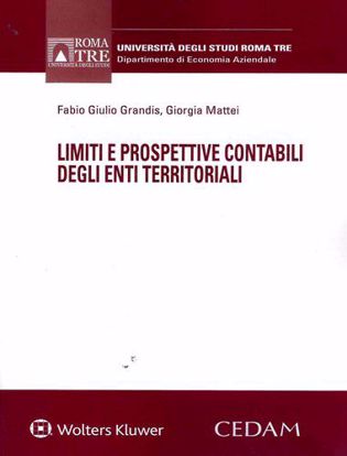 Immagine di Limiti e prospettive contabili degli enti territoriali