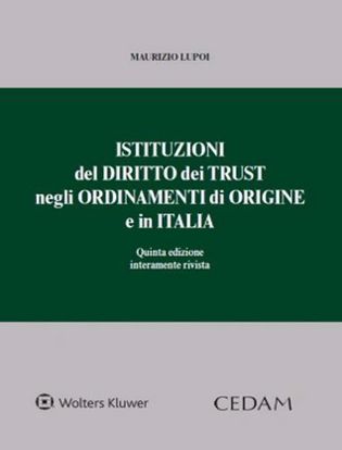 Immagine di Istituzioni del diritto dei trust negli ordinamenti di origine e in Italia