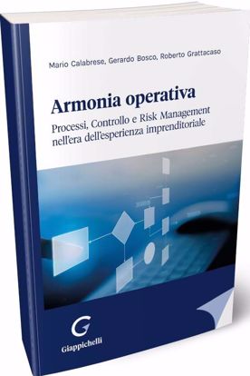 Immagine di Armonia operativa. Processi, controllo e risk management nell'era dell'esperienza imprenditoriale