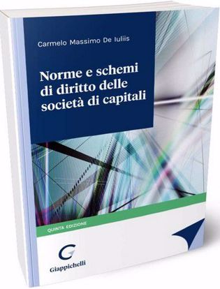 Immagine di Norme e schemi di diritto delle società di capitali