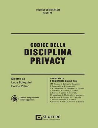 Immagine di Codice della disciplina privacy