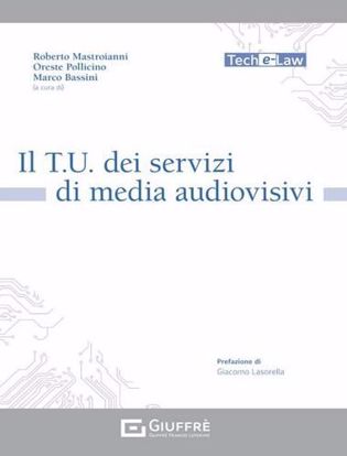 Immagine di Il T.U. per la fornitura di servizi media digitali