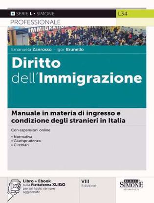 Immagine di Diritto dell'immigrazione. Manuale in materia di ingresso e condizione degli stranieri in Italia